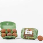 Huevos Camperos