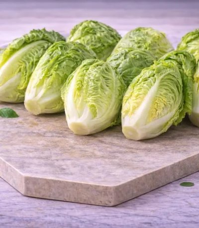 cogolloslechuga