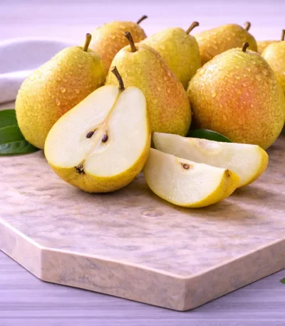 ercolina