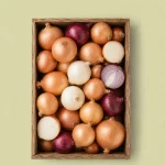 categoriacebollas