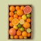 categoria citricos