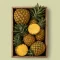 categoria piña