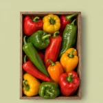 categoriaptos